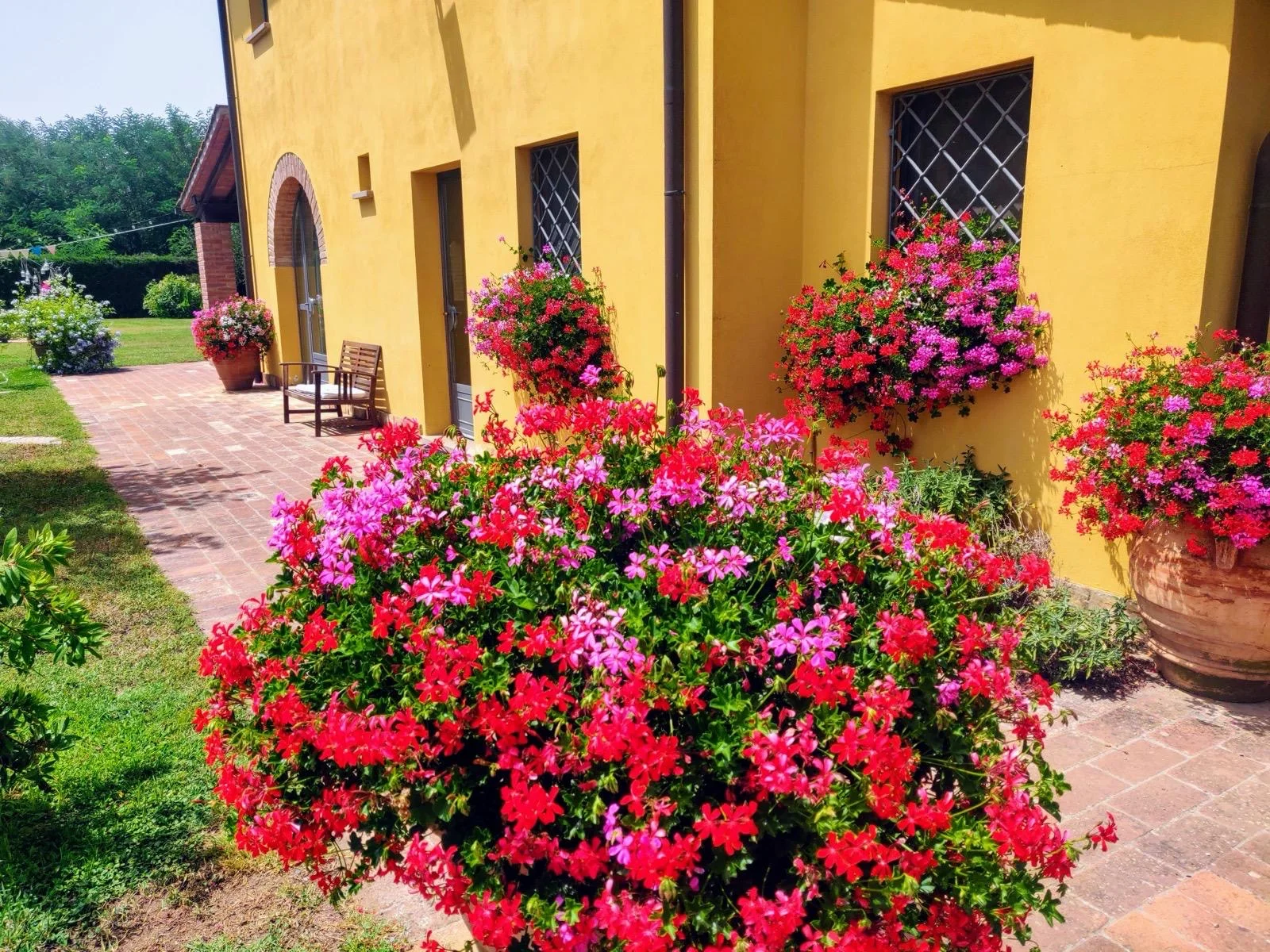I fiori davanti al casolare