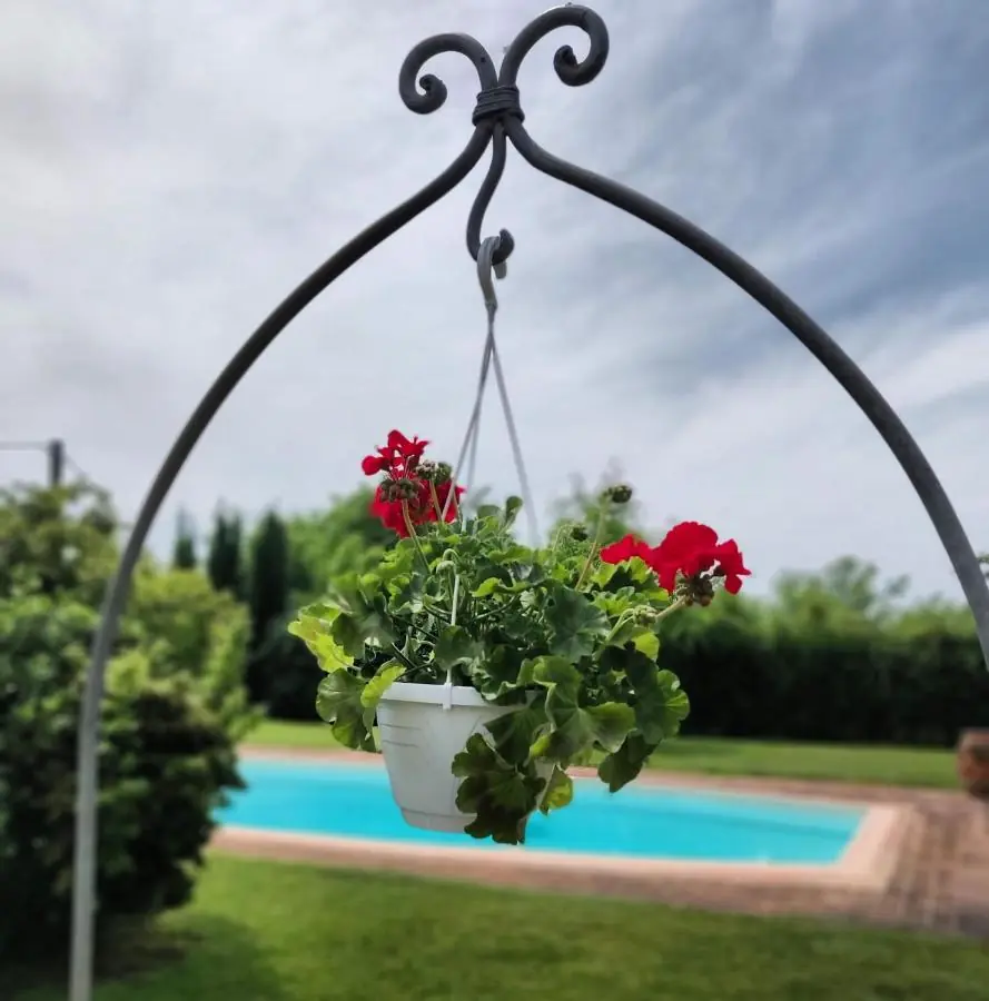 I fiori a bordo piscina
