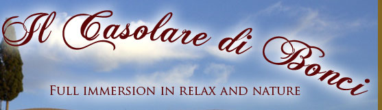 Bed & Breakfast con piscina in Toscana