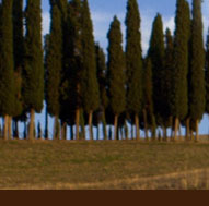 Bed & Breakfast con piscina in Toscana
